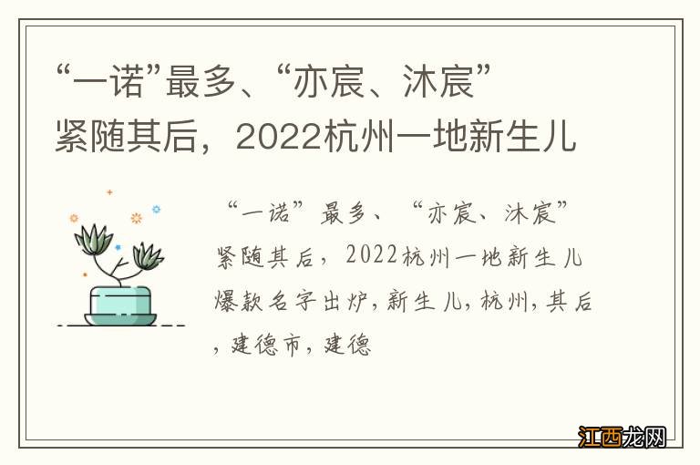 “一诺”最多、“亦宸、沐宸”紧随其后，2022杭州一地新生儿爆款名字出炉