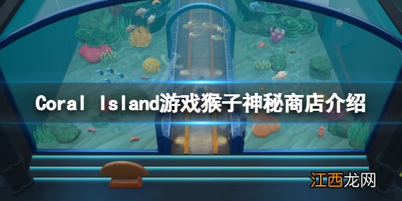 珊瑚岛游戏猴子神秘商店在哪-Coral Island游戏猴子神秘商店