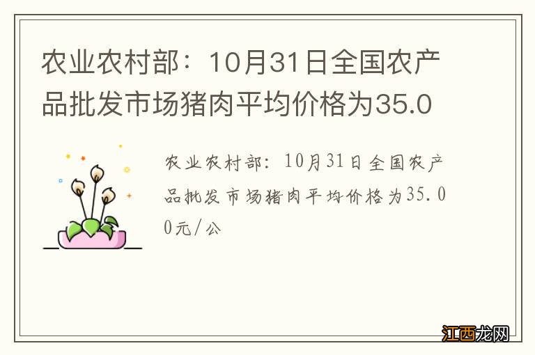 农业农村部：10月31日全国农产品批发市场猪肉平均价格为35.00元/公