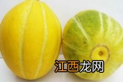 菠萝蜜和榴莲有什么区别？菠萝蜜和榴莲如何区分？