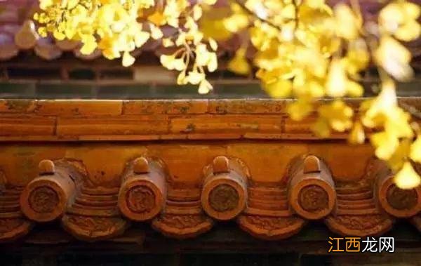 一到秋天,故宫就美成了紫禁城!