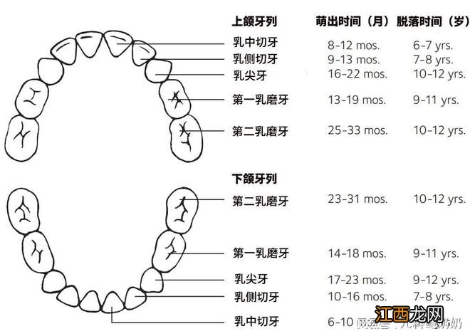 孩子出牙慢、出牙晚，大多数是正常的，除非有这些情况