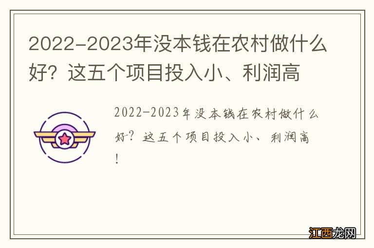 2022-2023年没本钱在农村做什么好？这五个项目投入小、利润高！