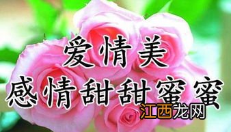 祝福漂亮女人的新年祝福语?