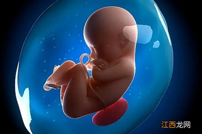 盘点关于胎儿的“小秘密”