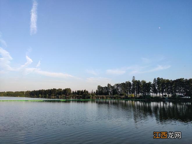 在武汉的东湖骑行,是一种怎样的体验?