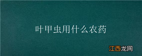 叶甲虫用什么农药 叶甲虫用什么农药防治