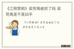 《江照黎明》梁贺禹被抓了吗 梁贺禹是不是凶手