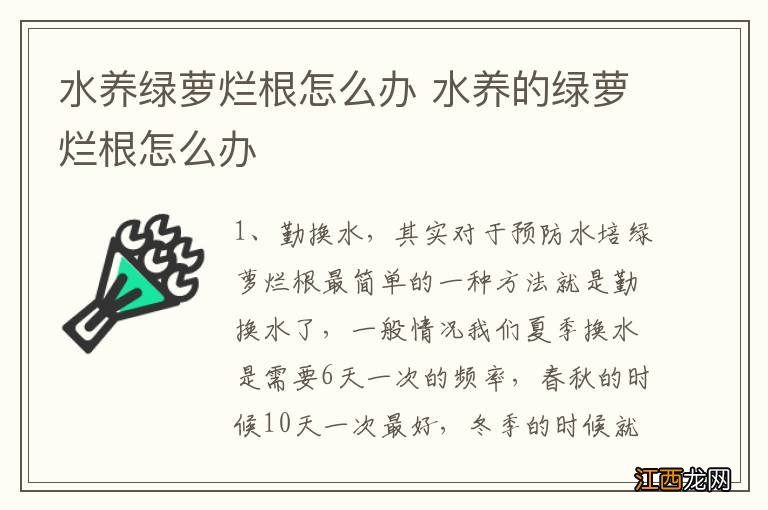 水养绿萝烂根怎么办 水养的绿萝烂根怎么办