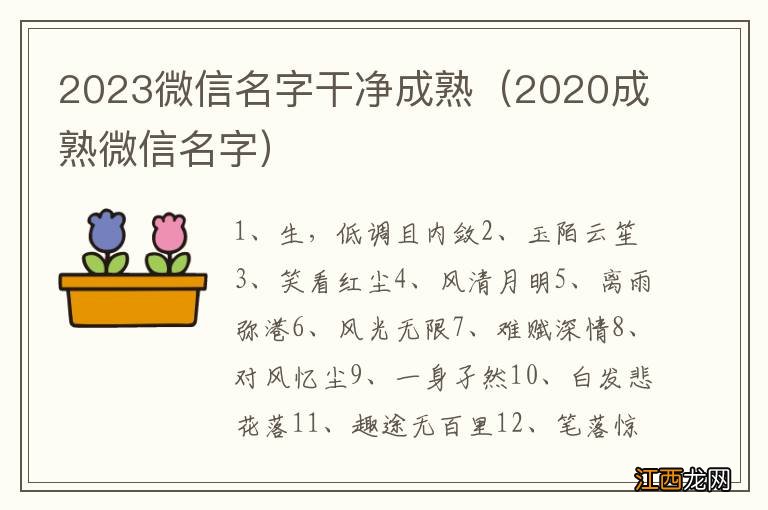 2020成熟微信名字 2023微信名字干净成熟