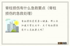 脊柱损伤的急救处理 脊柱损伤有什么急救要点