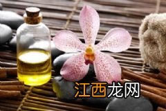 SUQQU粉饼好用吗？SUQQU粉饼怎么样？