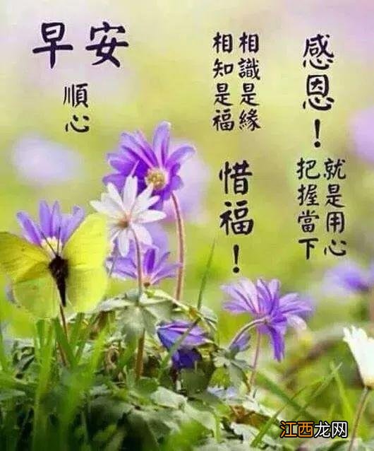 祝福语简短暖心佳句?