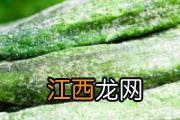 羊肚菌可以和枸杞一起炖吗 羊肚菌红枣枸杞排骨汤功效