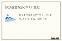 部分基金被多只FOF重仓