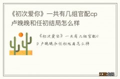 《初次爱你》一共有几组官配cp 卢晚晚和任初结局怎么样