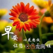 早上好，怎么回复最为绝句?