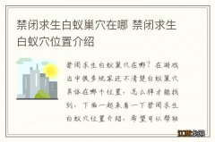 禁闭求生白蚁巢穴在哪 禁闭求生白蚁穴位置介绍