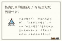 杨贵妃真的被赐死了吗 杨贵妃死因是什么？