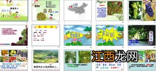 小学语文,二年级,问题:我国各少数民族对应的传统节日?