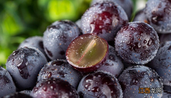 葡萄为何会落花落果芭芭农场答案 葡萄为何会落花落果芭芭农场