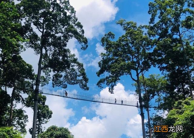 西双版纳,左手老挝冰咖啡,右手榴莲菠萝蜜,火过三亚真的不简单