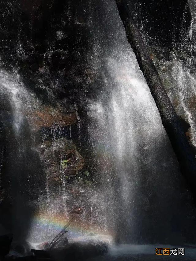西双版纳,左手老挝冰咖啡,右手榴莲菠萝蜜,火过三亚真的不简单