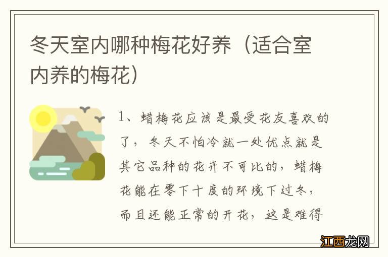 适合室内养的梅花 冬天室内哪种梅花好养