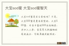 大宝sod蜜 大宝sod蜜智天