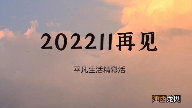 职场二宝妈2022年11月复盘：平平淡淡才是真，当下是最重要的存在