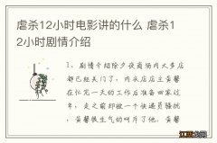 虐杀12小时电影讲的什么 虐杀12小时剧情介绍