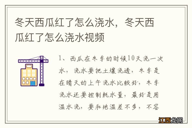 冬天西瓜红了怎么浇水，冬天西瓜红了怎么浇水视频