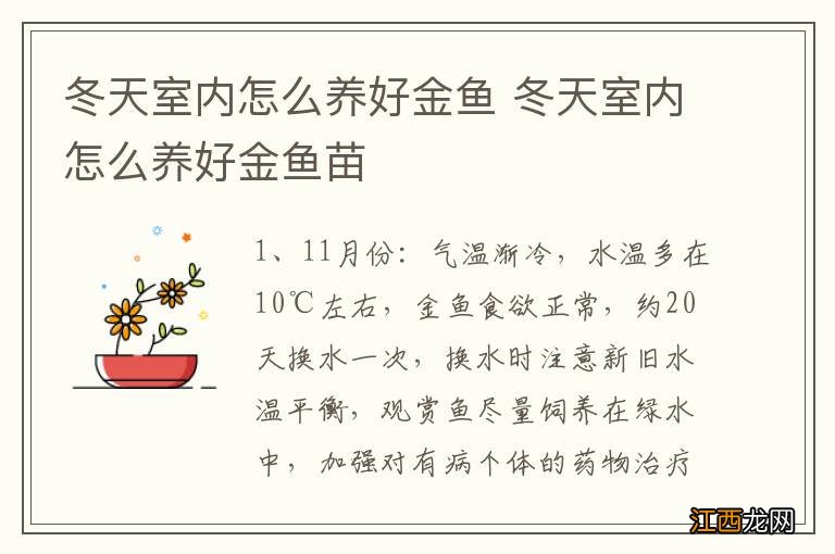 冬天室内怎么养好金鱼 冬天室内怎么养好金鱼苗