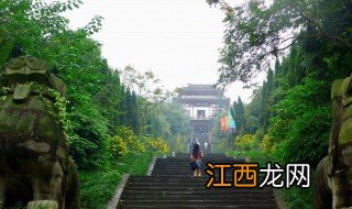 南充旅游攻略景点必去一日游 南充旅游攻略景点必去