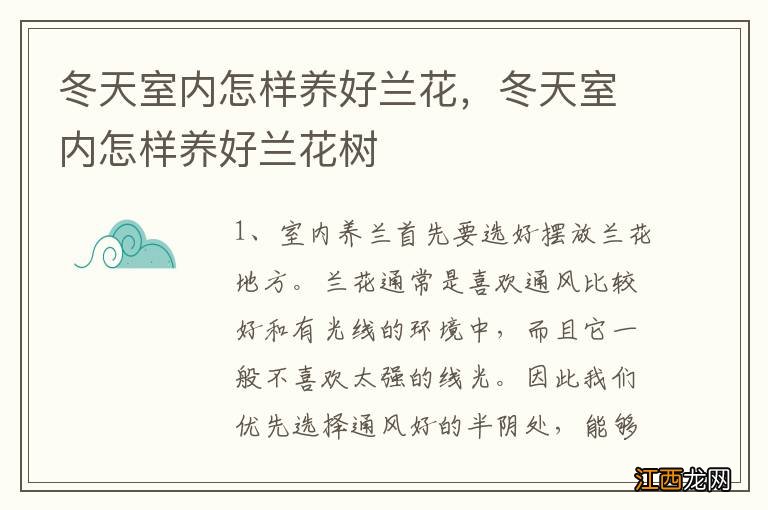 冬天室内怎样养好兰花，冬天室内怎样养好兰花树