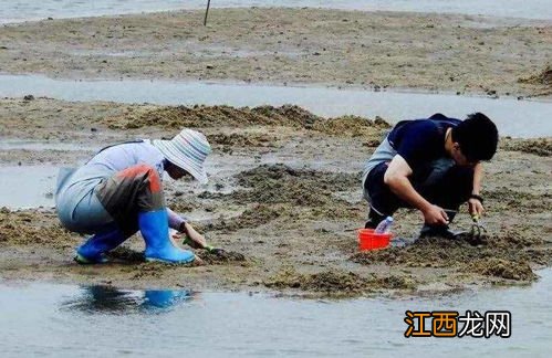 海水几点退潮几点涨潮