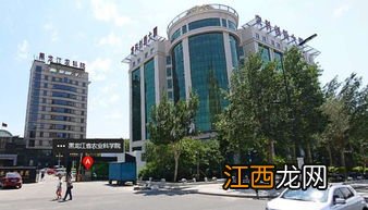 哈尔滨学府路都有什么大学