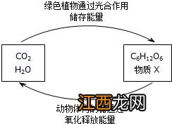 过滤和蒸发的原理是啥