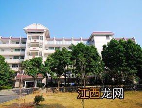 广西师范学院有多少校区