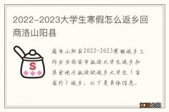 2022-2023大学生寒假怎么返乡回商洛山阳县