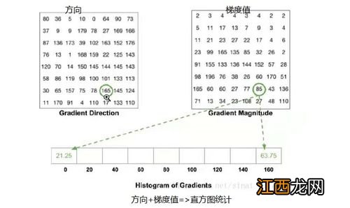 归一化特征向量是什么意思