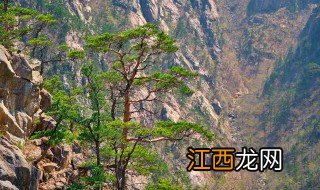 富川有哪些景点值得去 富川有什么景点