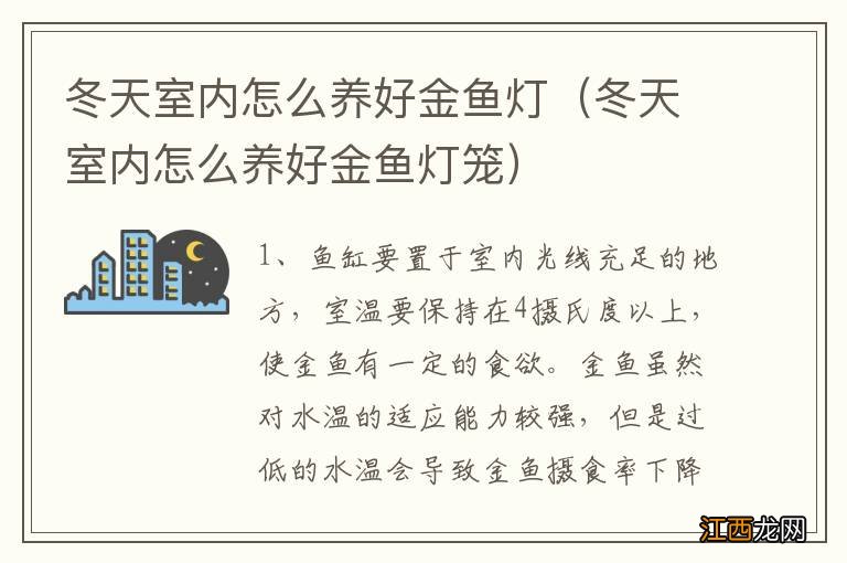 冬天室内怎么养好金鱼灯笼 冬天室内怎么养好金鱼灯