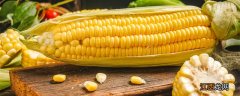 佳美达玉米种怎么样 佳美达玉米种能打多少斤