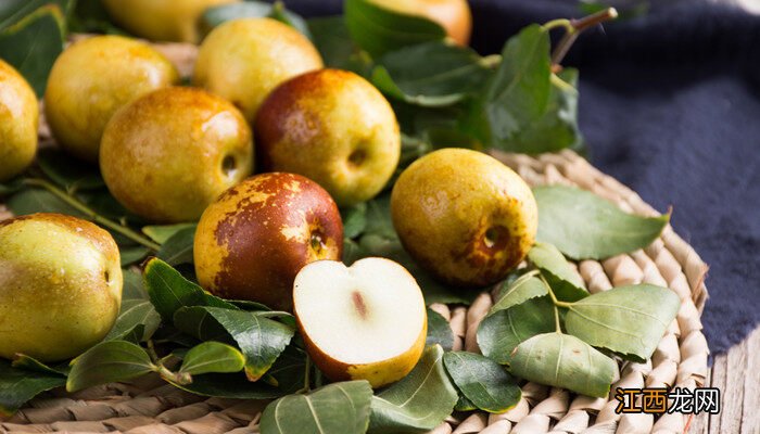 南方适合种枣树哪个品种最好 蟠枣适合什么地方种植