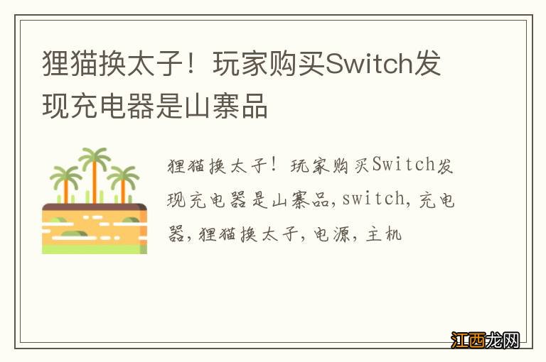 狸猫换太子！玩家购买Switch发现充电器是山寨品