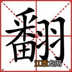 广字开头的成语