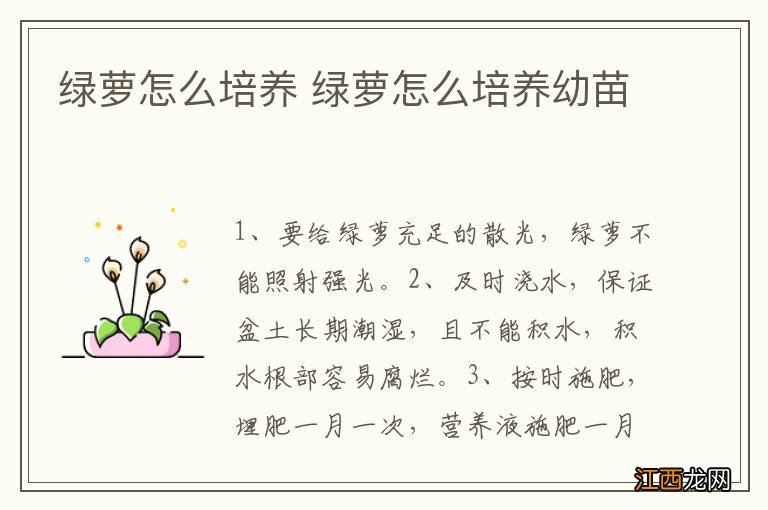 绿萝怎么培养 绿萝怎么培养幼苗