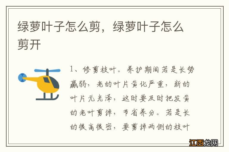 绿萝叶子怎么剪,绿萝叶子怎么剪开