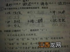 还字可以怎么组词